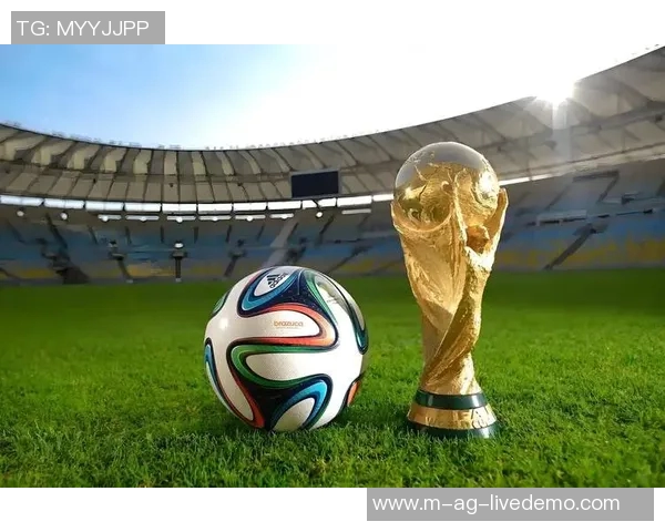 虎扑中国足球热潮再起球迷齐聚共话足球未来与发展